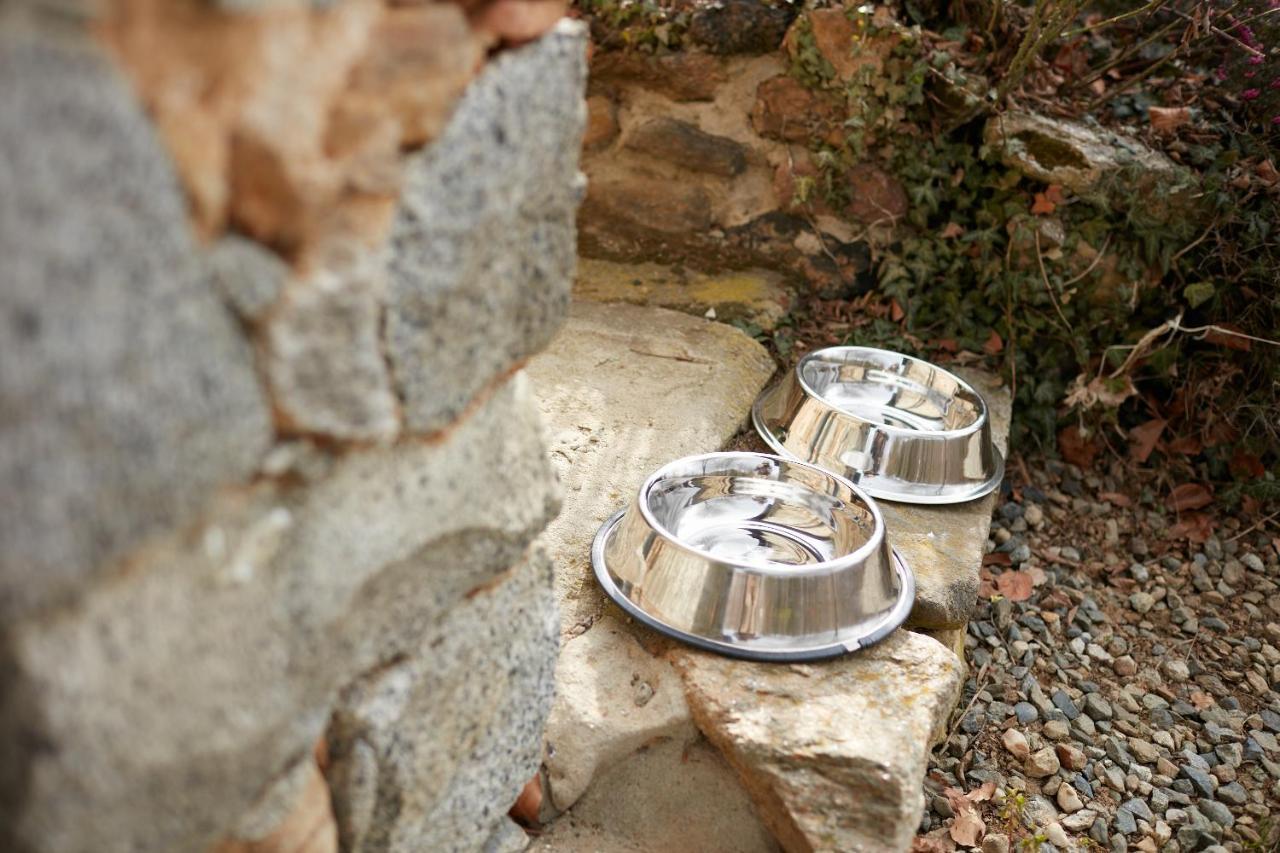 Villetta Con Giardino ⭑⭑⭑⭑⭑ - Wifi, Dogs Allowed Biella Exterior photo